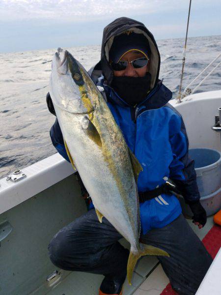 シーライオン 釣果