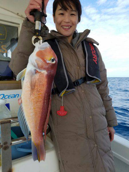 ソルトウォーターガイドフレンズ 釣果