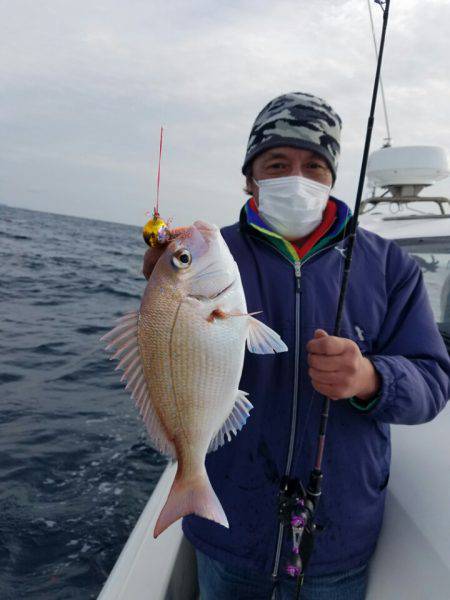 ソルトウォーターガイドフレンズ 釣果