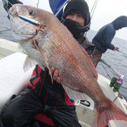 ARCADIAⅡ （アルカディアⅡ） 釣果