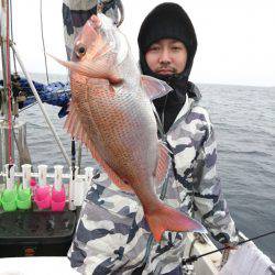 ARCADIAⅡ （アルカディアⅡ） 釣果