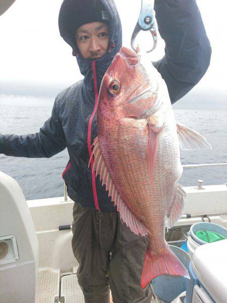 ARCADIAⅡ （アルカディアⅡ） 釣果