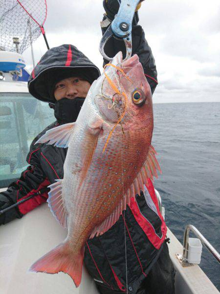 ARCADIAⅡ （アルカディアⅡ） 釣果