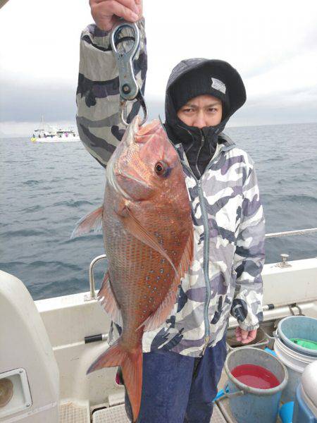 ARCADIAⅡ （アルカディアⅡ） 釣果