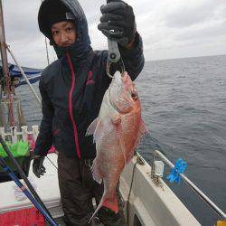 ARCADIAⅡ （アルカディアⅡ） 釣果