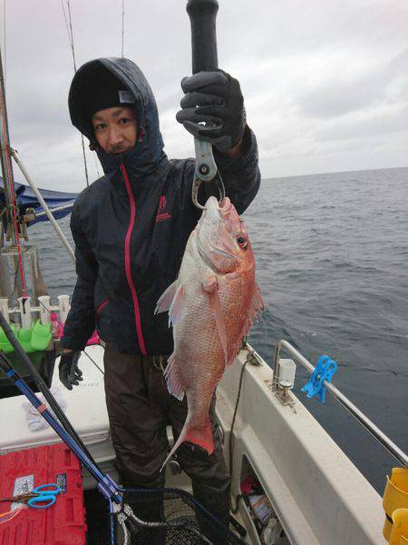 ARCADIAⅡ （アルカディアⅡ） 釣果