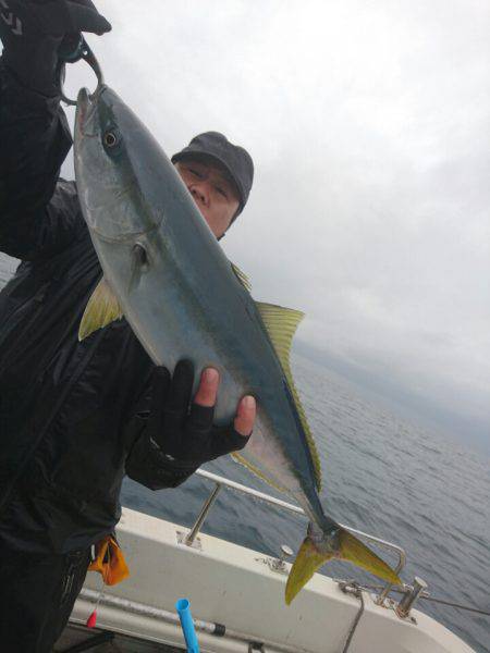 ARCADIAⅡ （アルカディアⅡ） 釣果