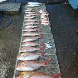 ARCADIAⅡ （アルカディアⅡ） 釣果