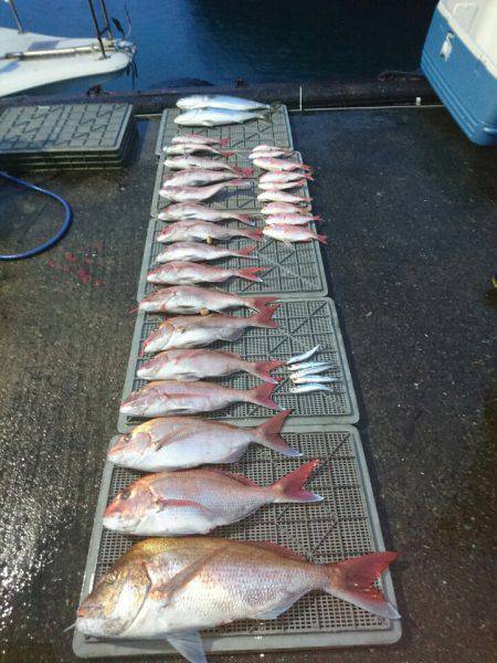 ARCADIAⅡ （アルカディアⅡ） 釣果