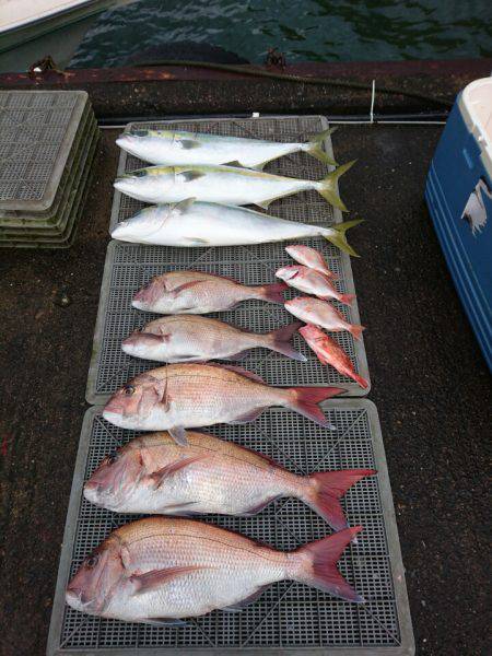 ARCADIAⅡ （アルカディアⅡ） 釣果