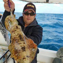 ソルトウォーターガイドフレンズ 釣果