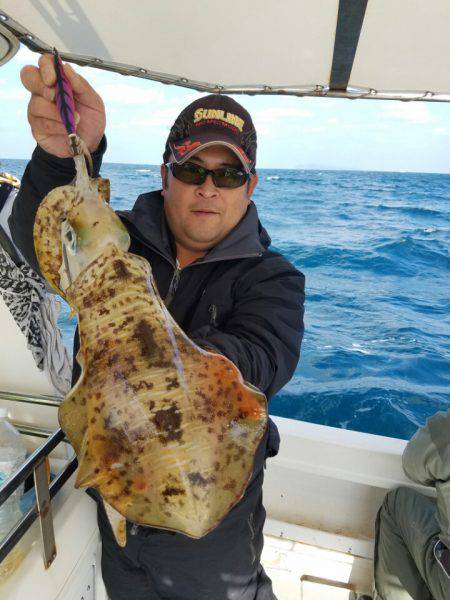 ソルトウォーターガイドフレンズ 釣果