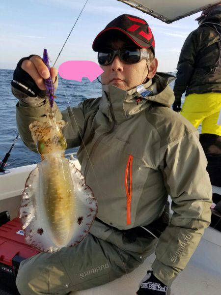 ソルトウォーターガイドフレンズ 釣果