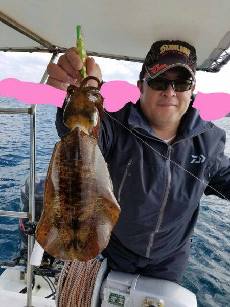 ソルトウォーターガイドフレンズ 釣果