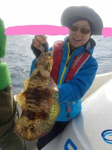 ソルトウォーターガイドフレンズ 釣果