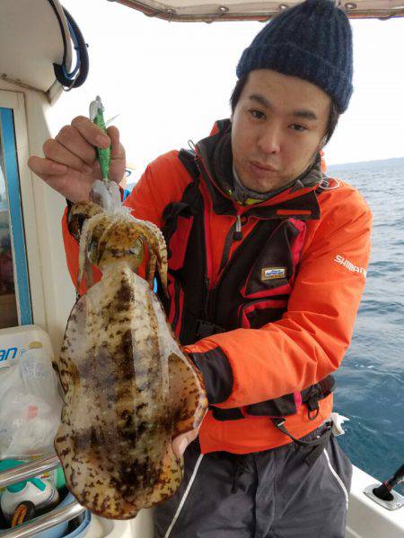 ソルトウォーターガイドフレンズ 釣果