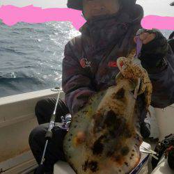 ソルトウォーターガイドフレンズ 釣果