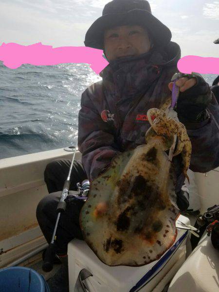 ソルトウォーターガイドフレンズ 釣果