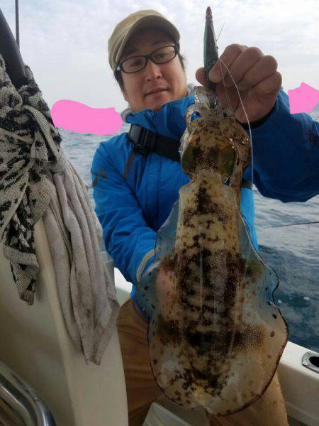 ソルトウォーターガイドフレンズ 釣果