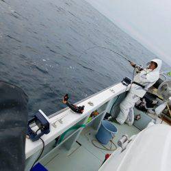 シーライオン 釣果