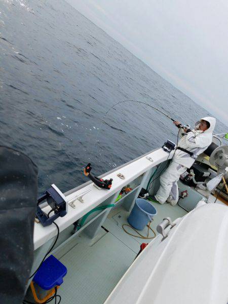 シーライオン 釣果