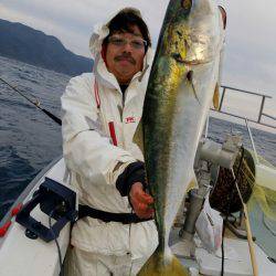 シーライオン 釣果