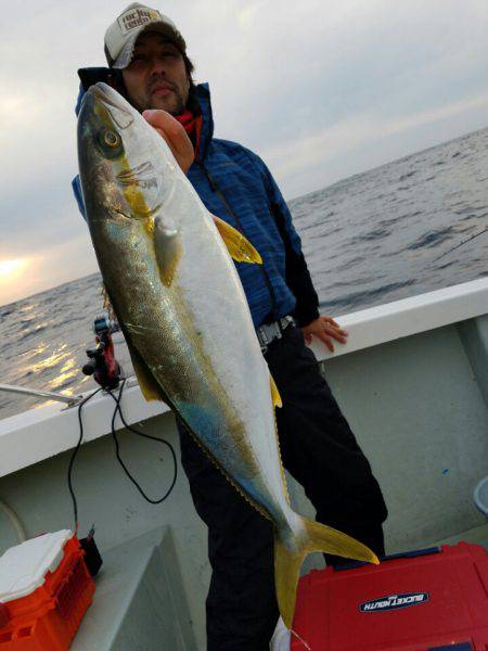 シーライオン 釣果