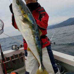 シーライオン 釣果