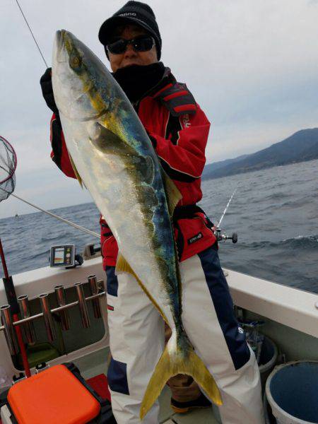 シーライオン 釣果