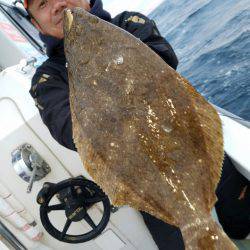 シーライオン 釣果