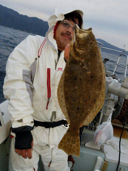 シーライオン 釣果