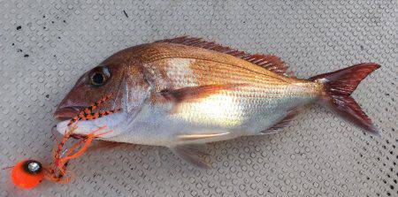 Fishing boat NATTYI 釣果