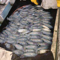 第八 源洋丸 釣果