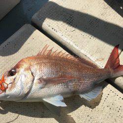 Fishing boat NATTYI 釣果
