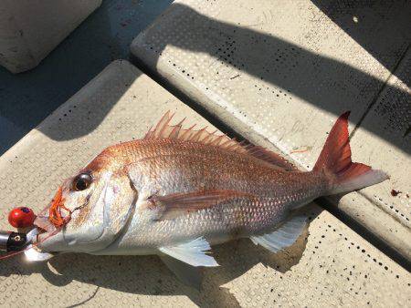 Fishing boat NATTYI 釣果