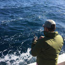 第八 源洋丸 釣果