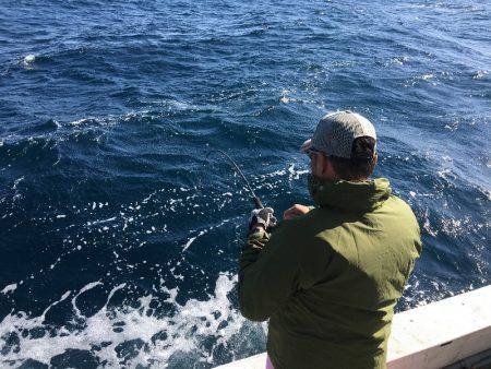 第八 源洋丸 釣果