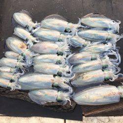 第八 源洋丸 釣果