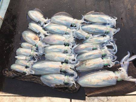 第八 源洋丸 釣果