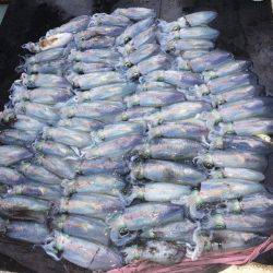 第八 源洋丸 釣果