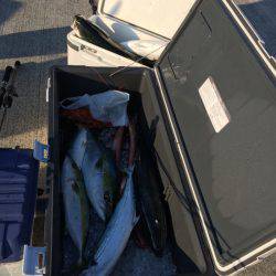 宮崎 福丸 釣果