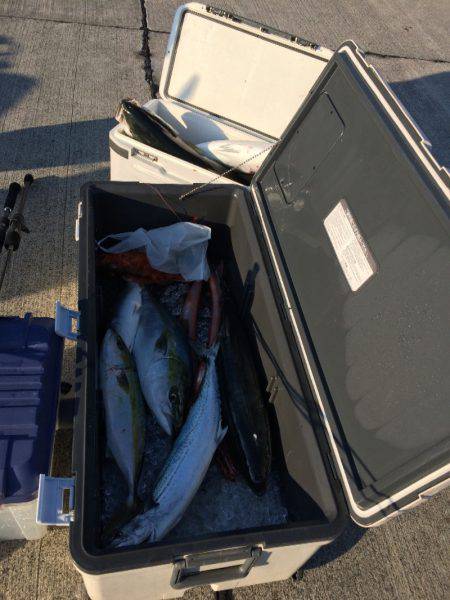 宮崎 福丸 釣果