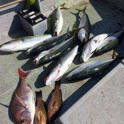 宮崎 福丸 釣果