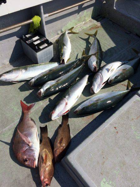 宮崎 福丸 釣果