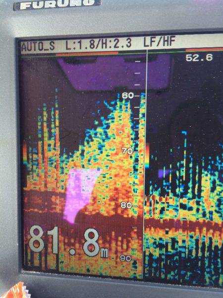 宮崎 福丸 釣果