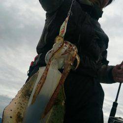 シースナイパー海龍 釣果