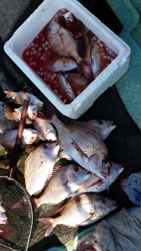 幸福丸 釣果