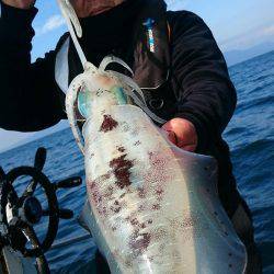 シースナイパー海龍 釣果