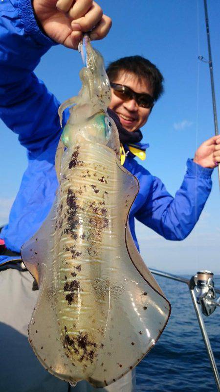 シースナイパー海龍 釣果
