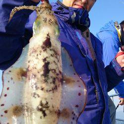 シースナイパー海龍 釣果